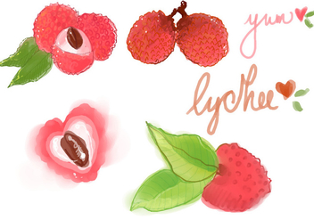 Watercolor Lychee Vector Set - vector #359743 gratis